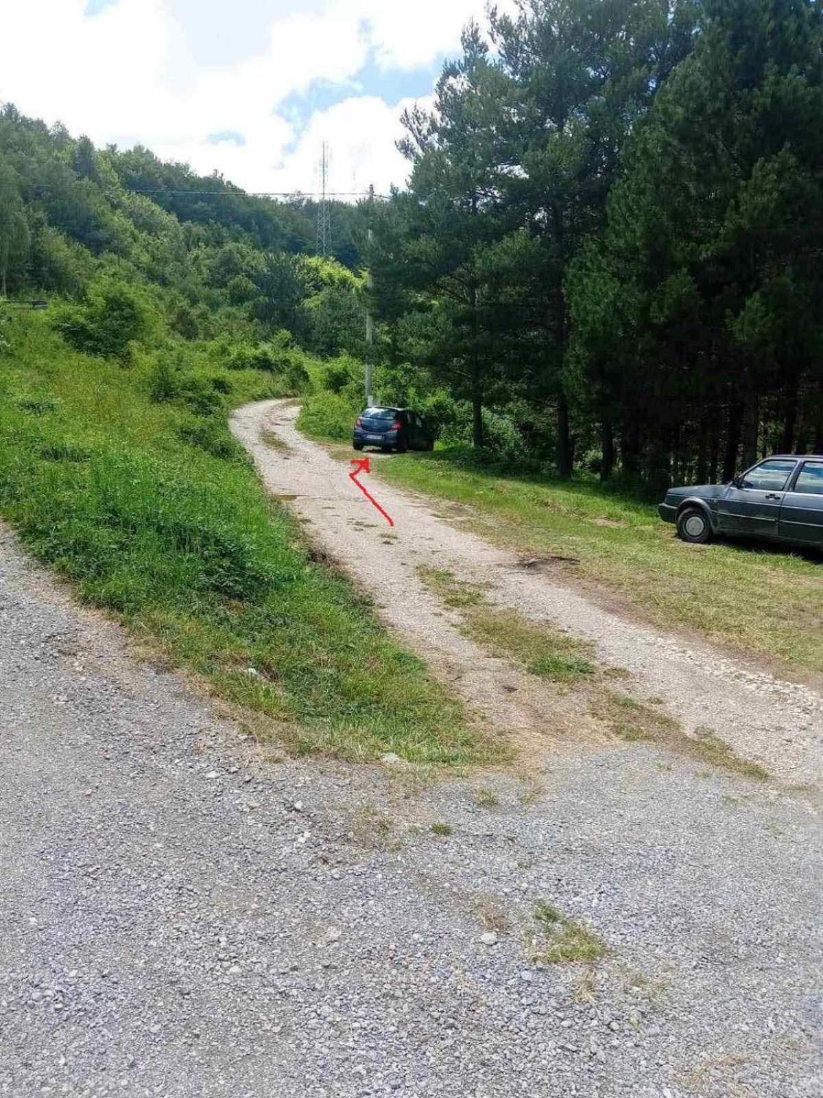 Oaza Mira, Kokin Brod * Nova Varos
